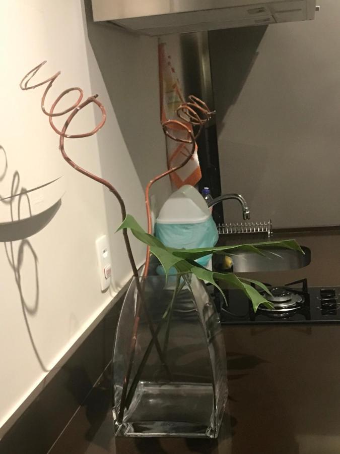 公寓 Fantastico Divisa Copacabana Ipanema Reformado E Decorado